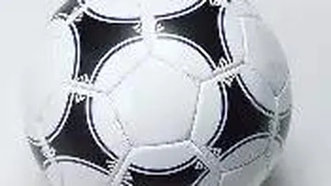 美国国土安全部与“政府效率部”联手开展合作